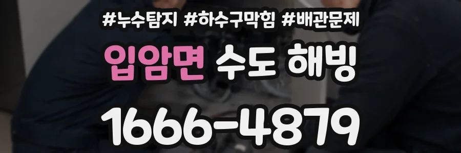 입암면 수도 해빙