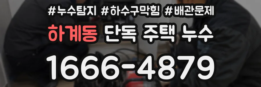 하계동 단독 주택 누수