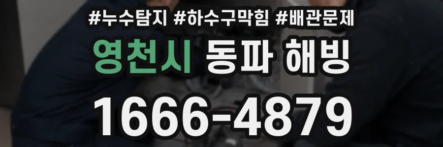 영천시 동파 해빙