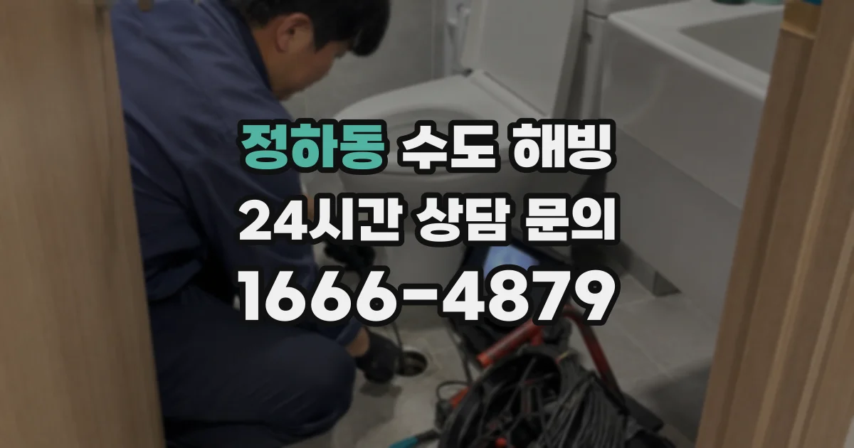 정하동 수도 해빙
