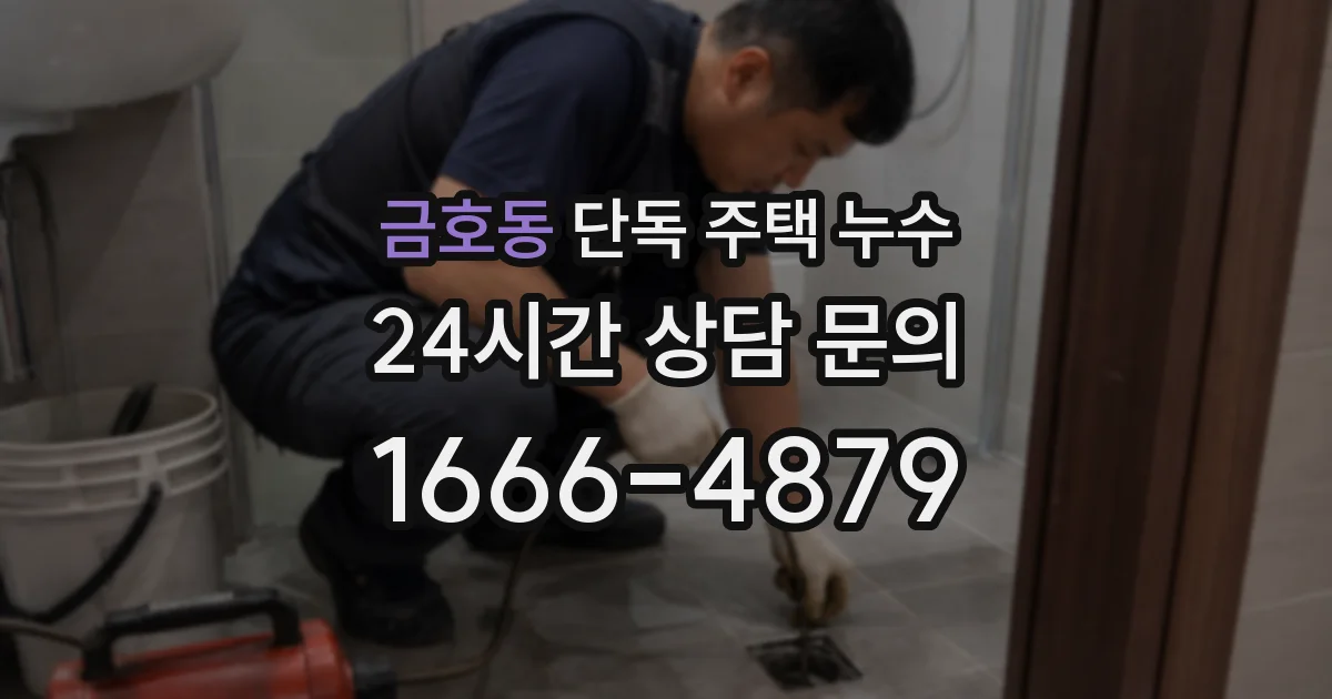 금호동 단독 주택 누수