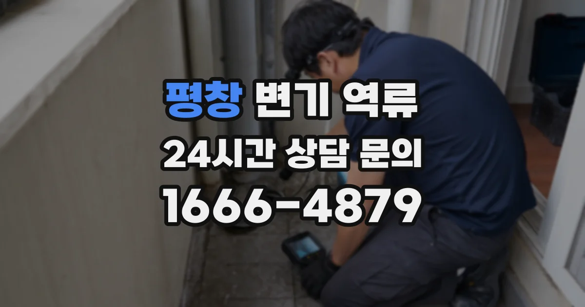 평창 변기 역류