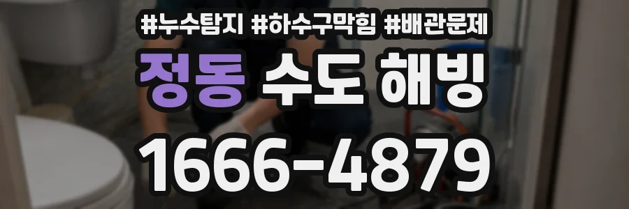 정동 수도 해빙