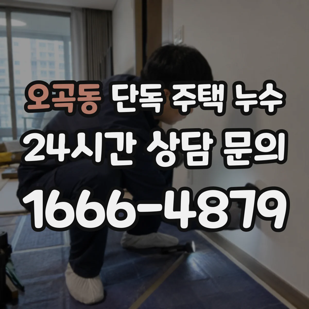오곡동 단독 주택 누수