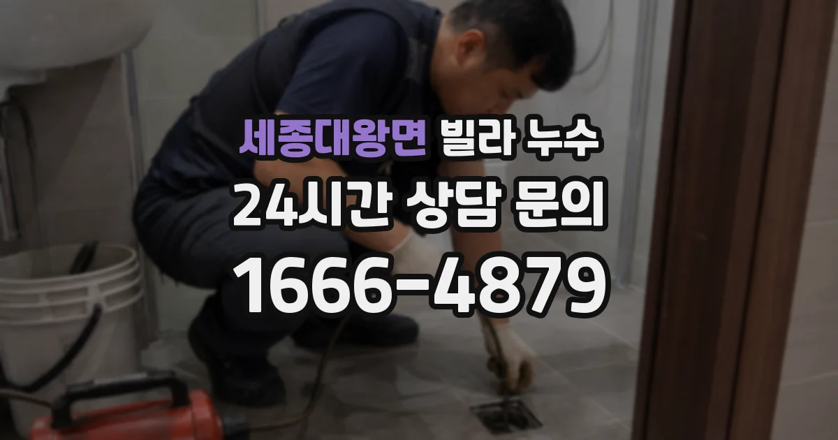 세종대왕면 빌라 누수