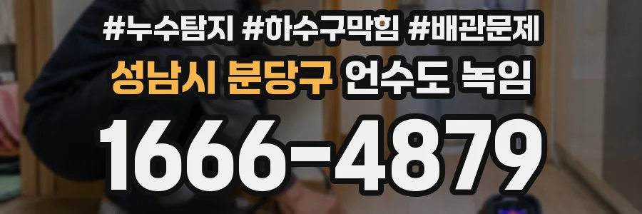 성남시 분당구 언수도 녹임