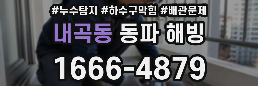 내곡동 동파 해빙