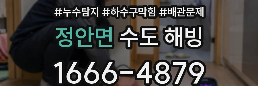 정안면 수도 해빙