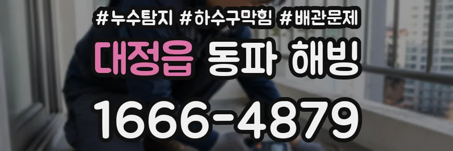 대정읍 동파 해빙