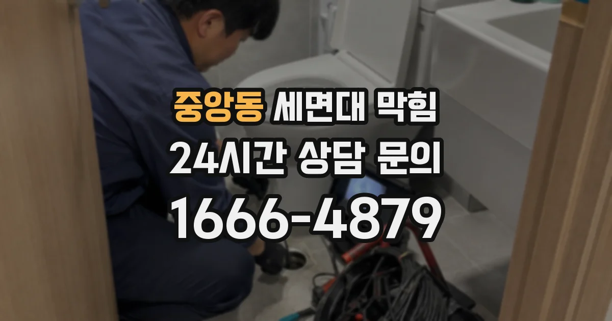 중앙동 세면대 막힘