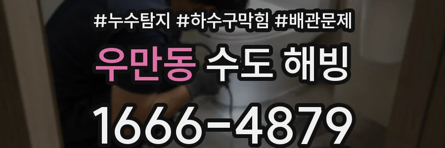 우만동 수도 해빙