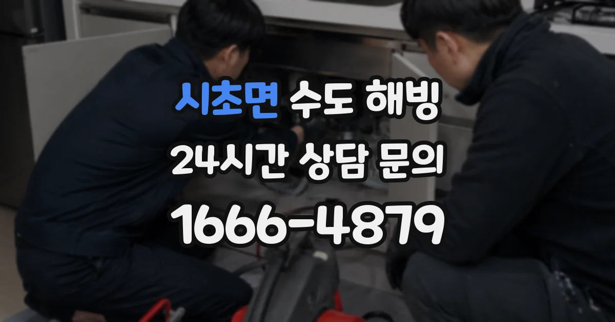 시초면 수도 해빙
