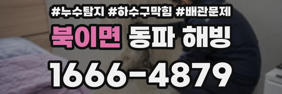 북이면 동파 해빙