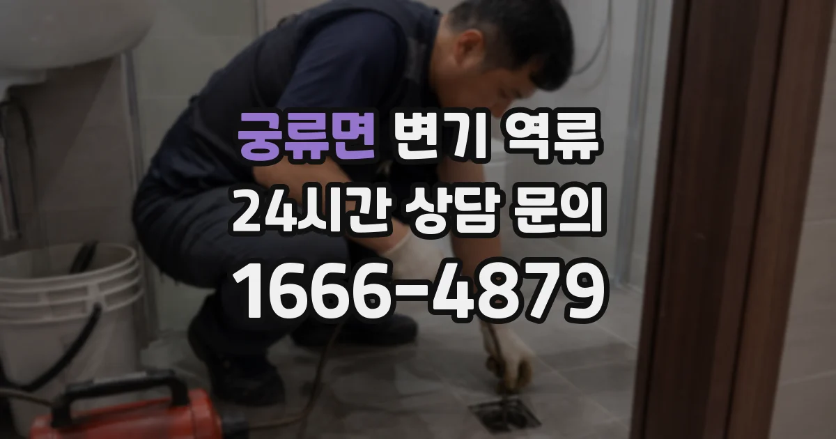 궁류면 변기 역류