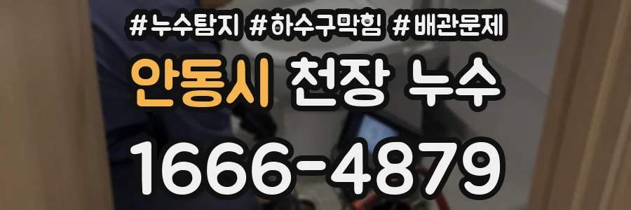 안동시 천장 누수