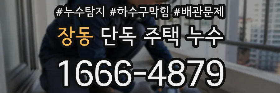 장동 단독 주택 누수