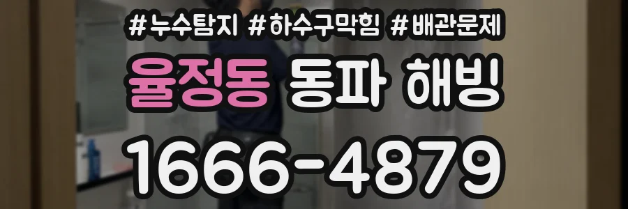 율정동 동파 해빙