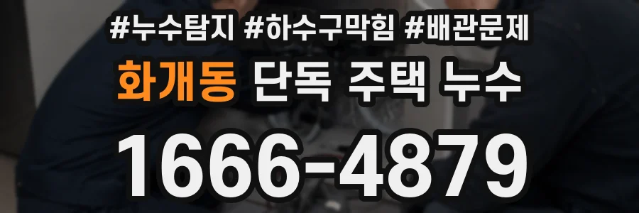 화개동 단독 주택 누수