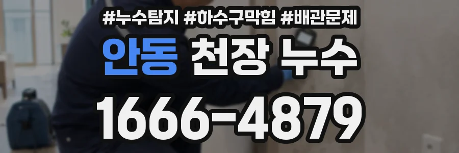 안동 천장 누수