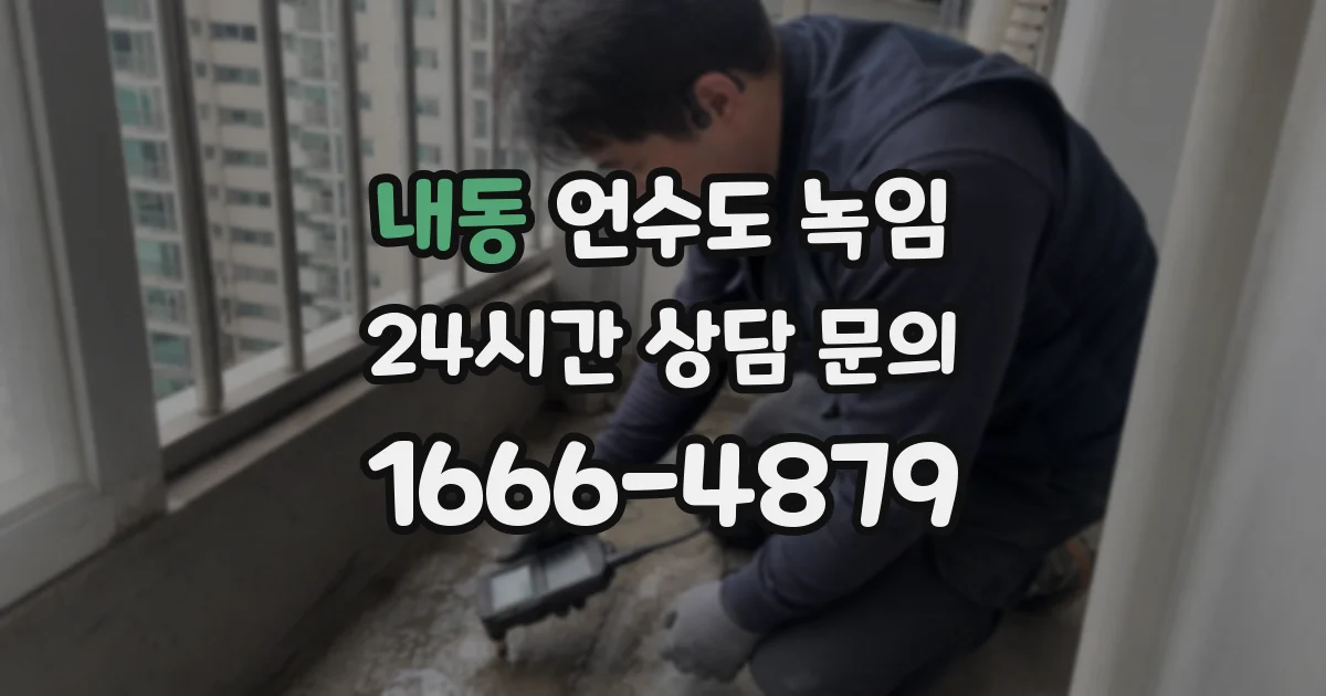 내동 언수도 녹임
