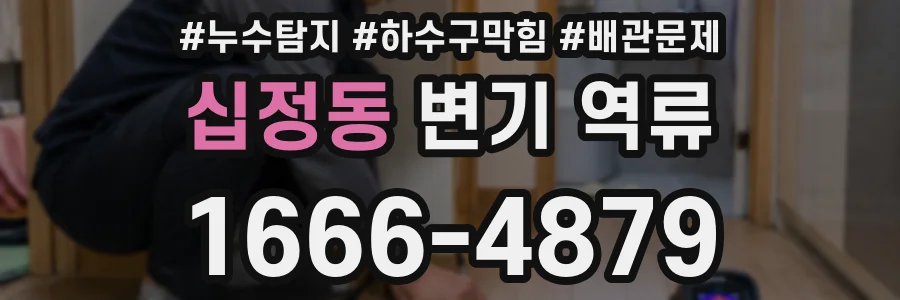 십정동 변기 역류