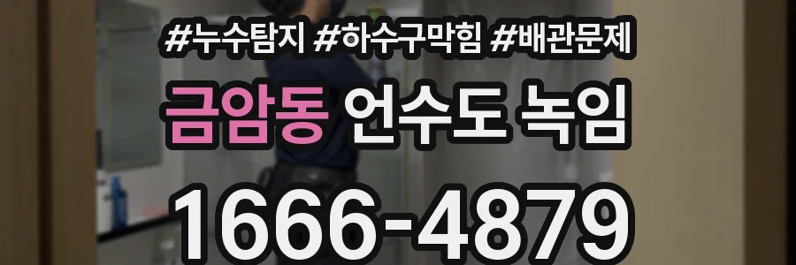 금암동 언수도 녹임