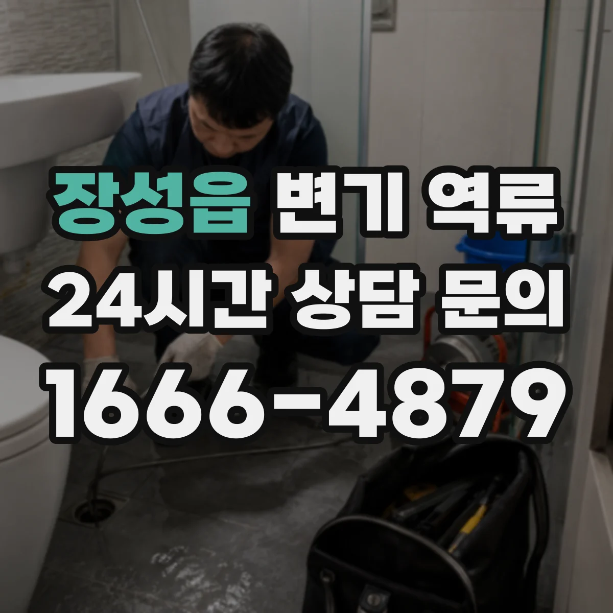 장성읍 변기 역류
