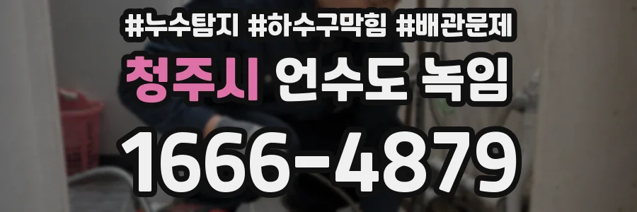 청주시 언수도 녹임