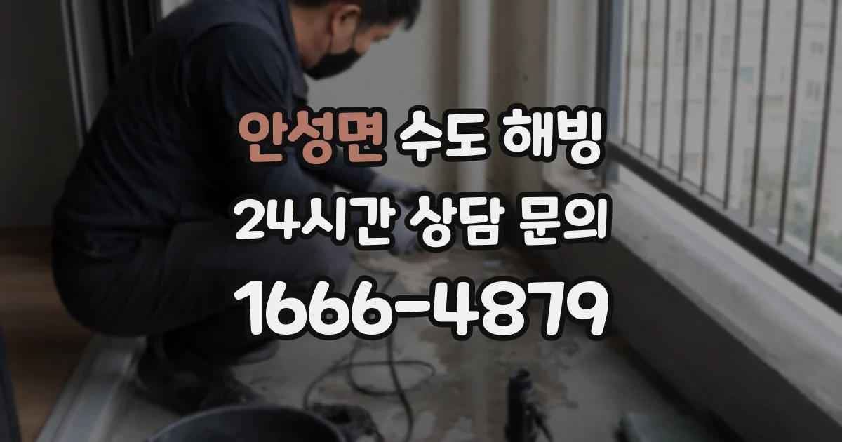 안성면 수도 해빙