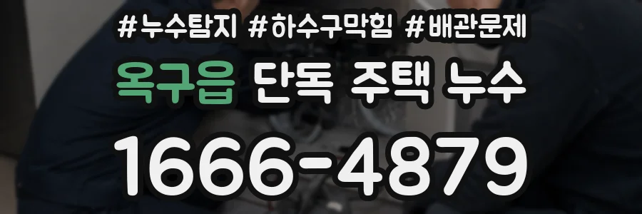 옥구읍 단독 주택 누수