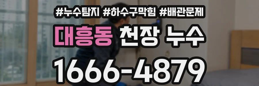 대흥동 천장 누수