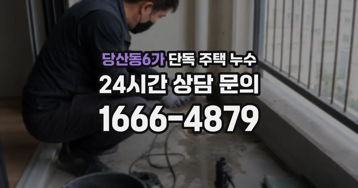 당산동6가 단독 주택 누수