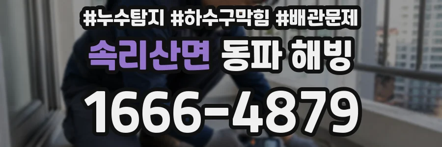 속리산면 동파 해빙