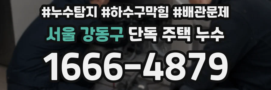 서울 강동구 단독 주택 누수