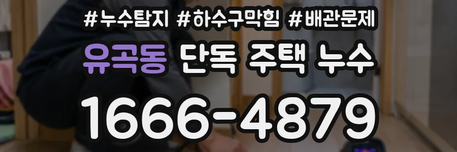 유곡동 단독 주택 누수