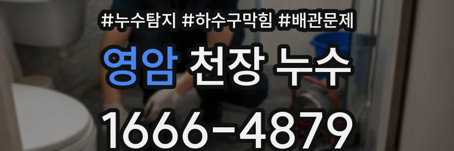 영암 천장 누수