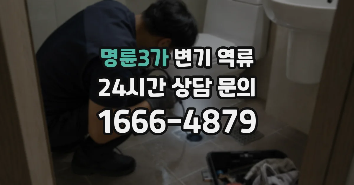 명륜3가 변기 역류