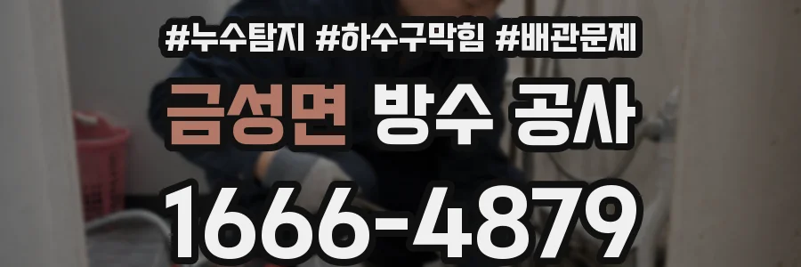 금성면 방수 공사