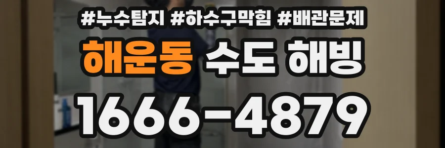 해운동 수도 해빙