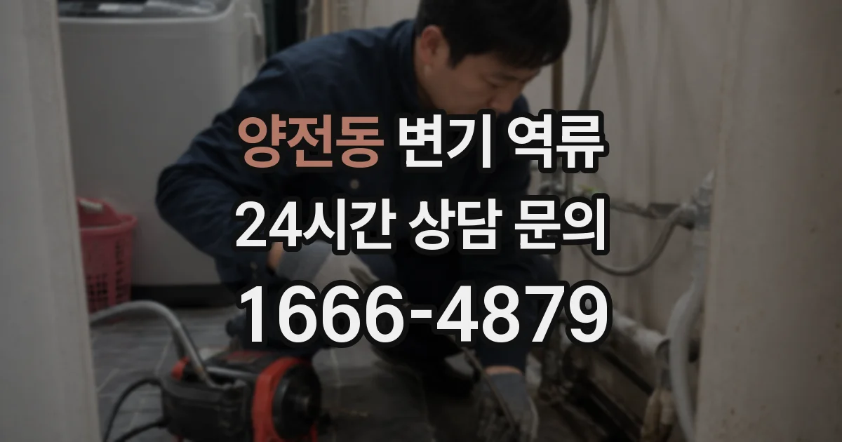 양전동 변기 역류