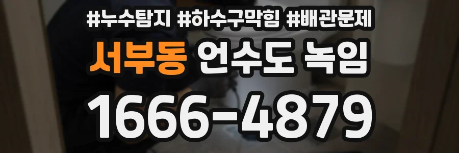 서부동 언수도 녹임