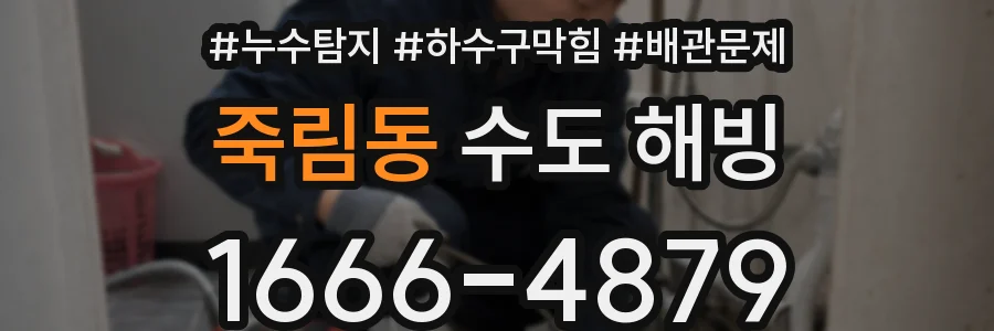 죽림동 수도 해빙