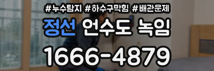 정선 언수도 녹임