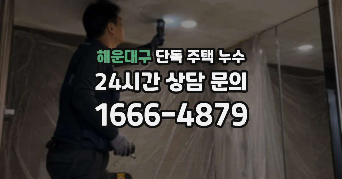 해운대구 단독 주택 누수