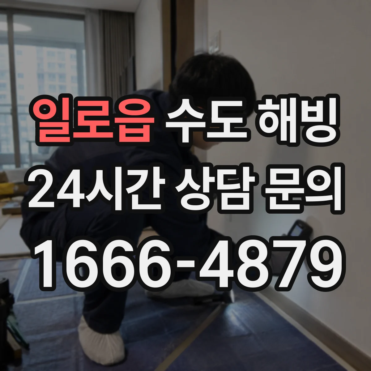 일로읍 수도 해빙
