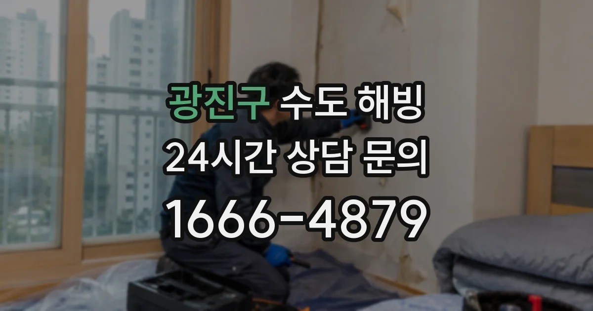 광진구 수도 해빙