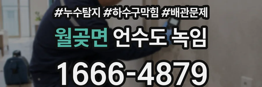 월곶면 언수도 녹임