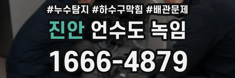 진안 언수도 녹임
