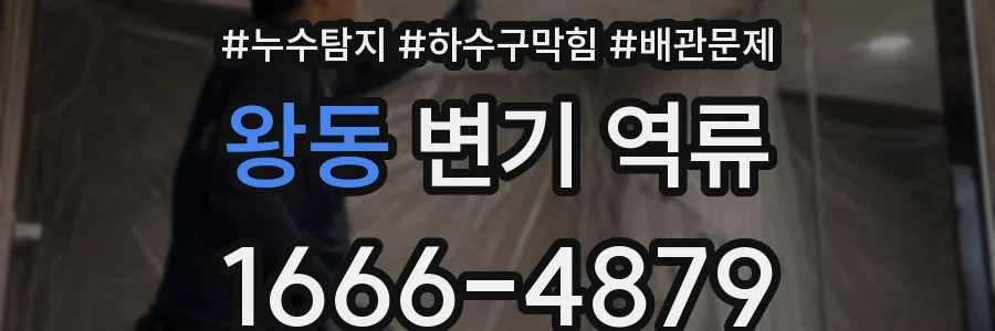 왕동 변기 역류