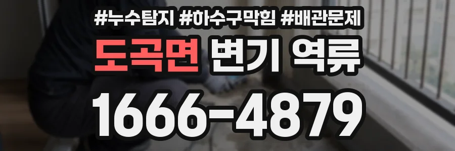 도곡면 변기 역류